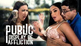 PureTaboo Sheena Ryder Public Display Of Affliction Pornmz